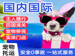 兰旗航空快运国际宠物托运 【国